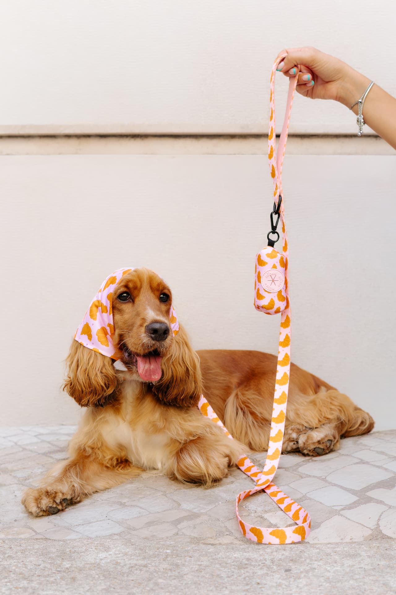 Matin Collection — happy dog wearing a pink nibs harness