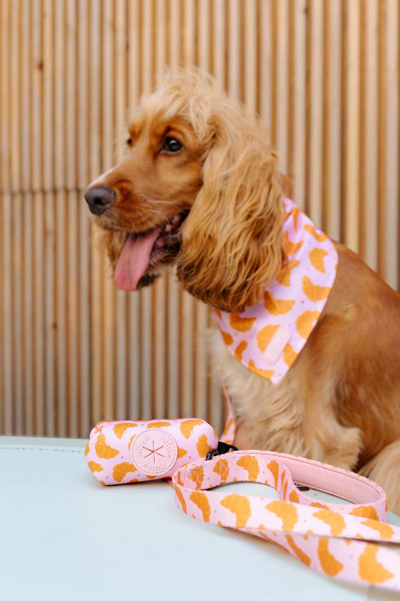 Matin Poop Bag close-up with matching collar and leash