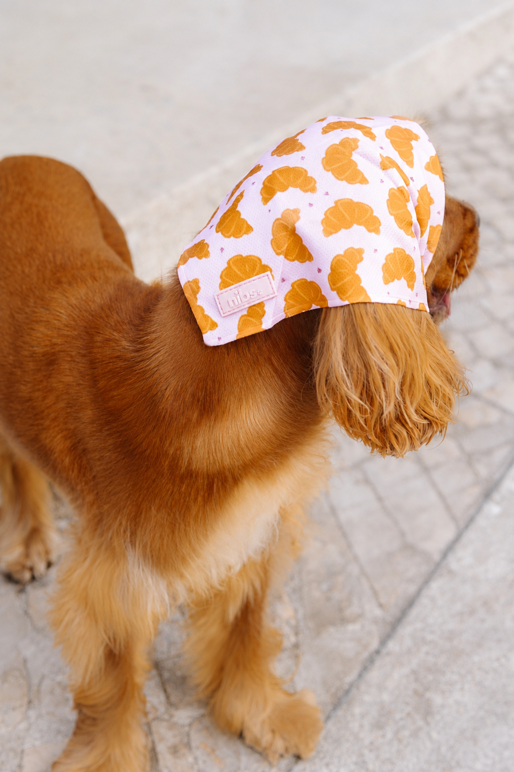 Matin Bandana croissant print top view