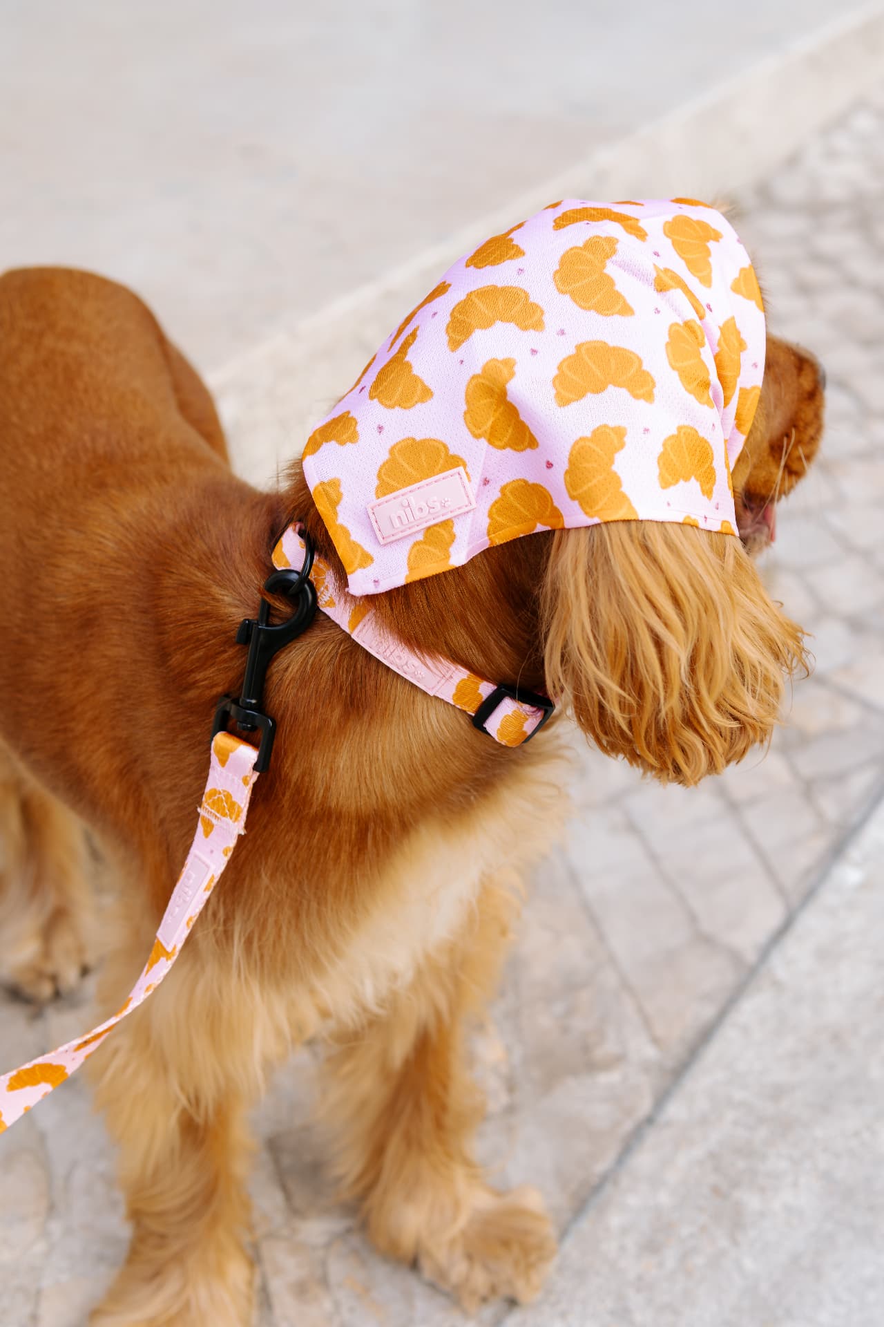 Matin Collar with matching croissant headscarf