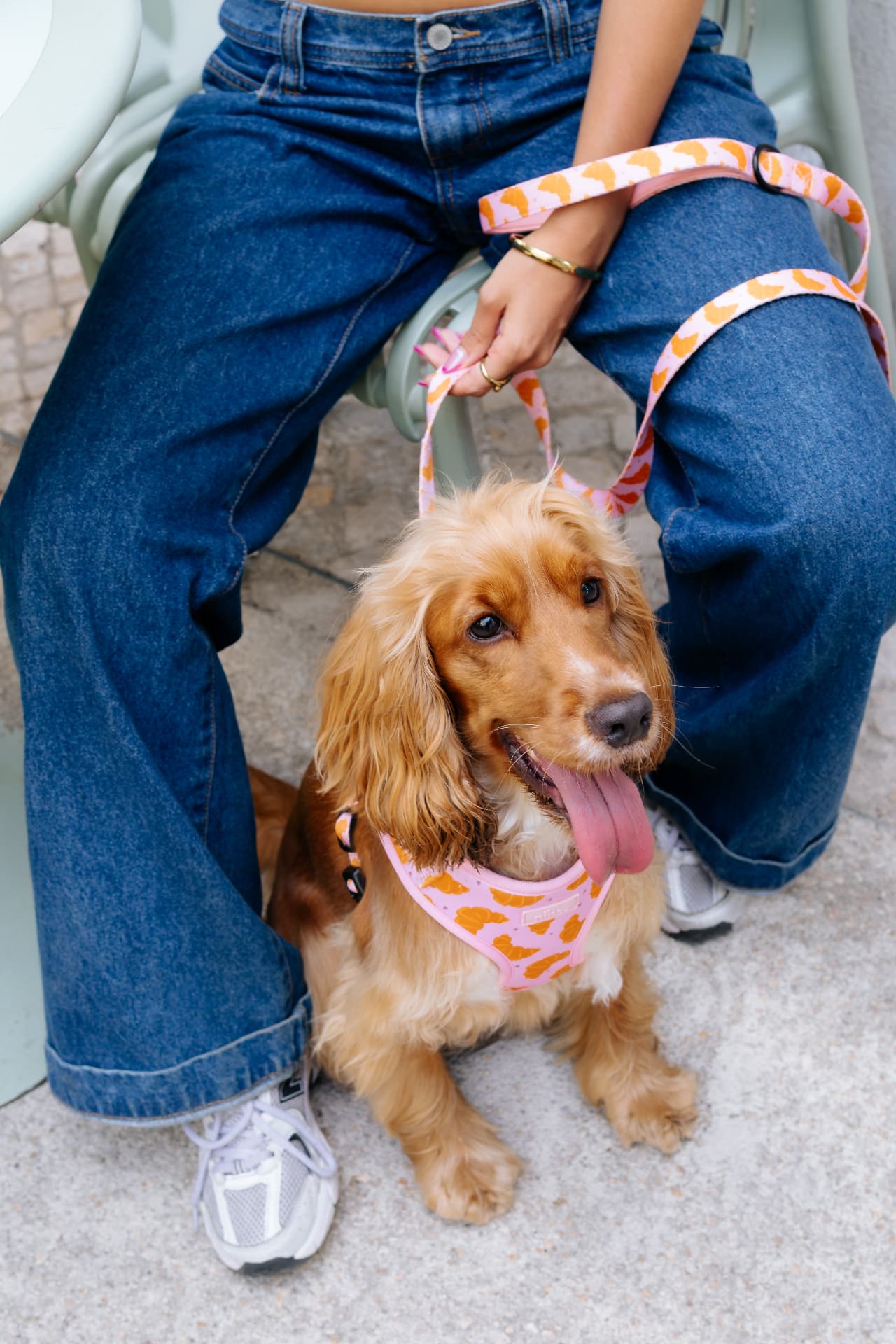 Matin Leash in pink croissant print held on a walk
