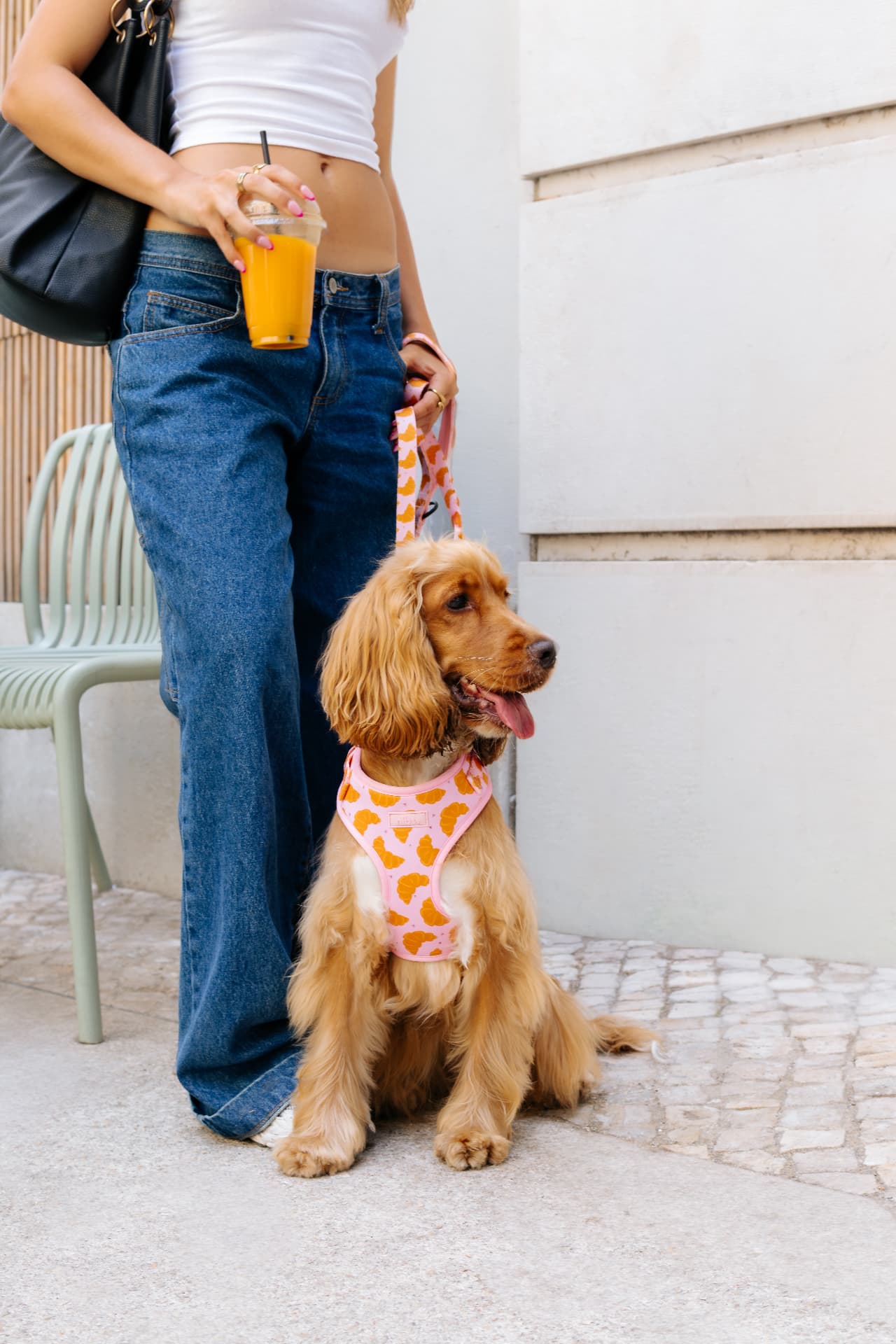 Matin Harness worn on a walk in the city